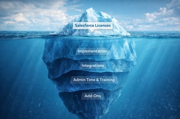 SalesforceCosts_Image 1